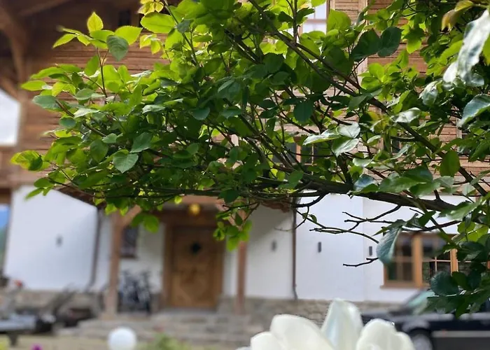 Panoramasuite By Interhome Apartament Flattach